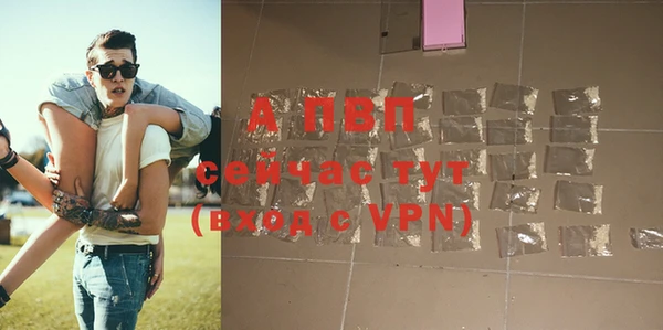 прущие грибы Приозерск