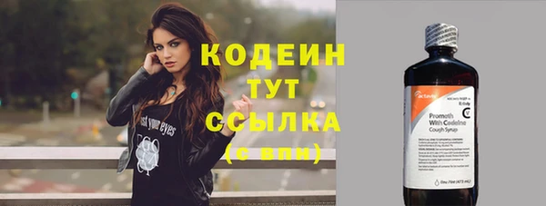 прущие грибы Приозерск