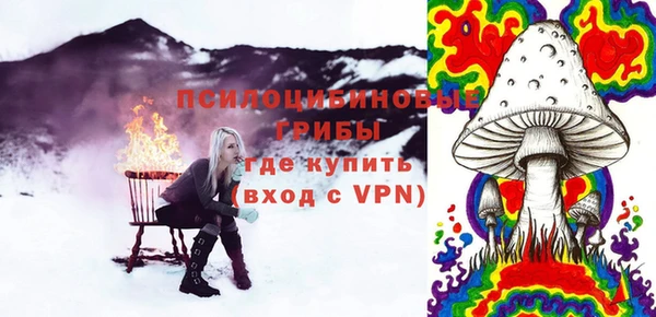 прущие грибы Приозерск