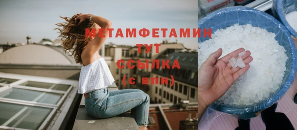 прущие грибы Приозерск